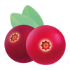 BRUSNICA ACEROLA · IMMUNITY